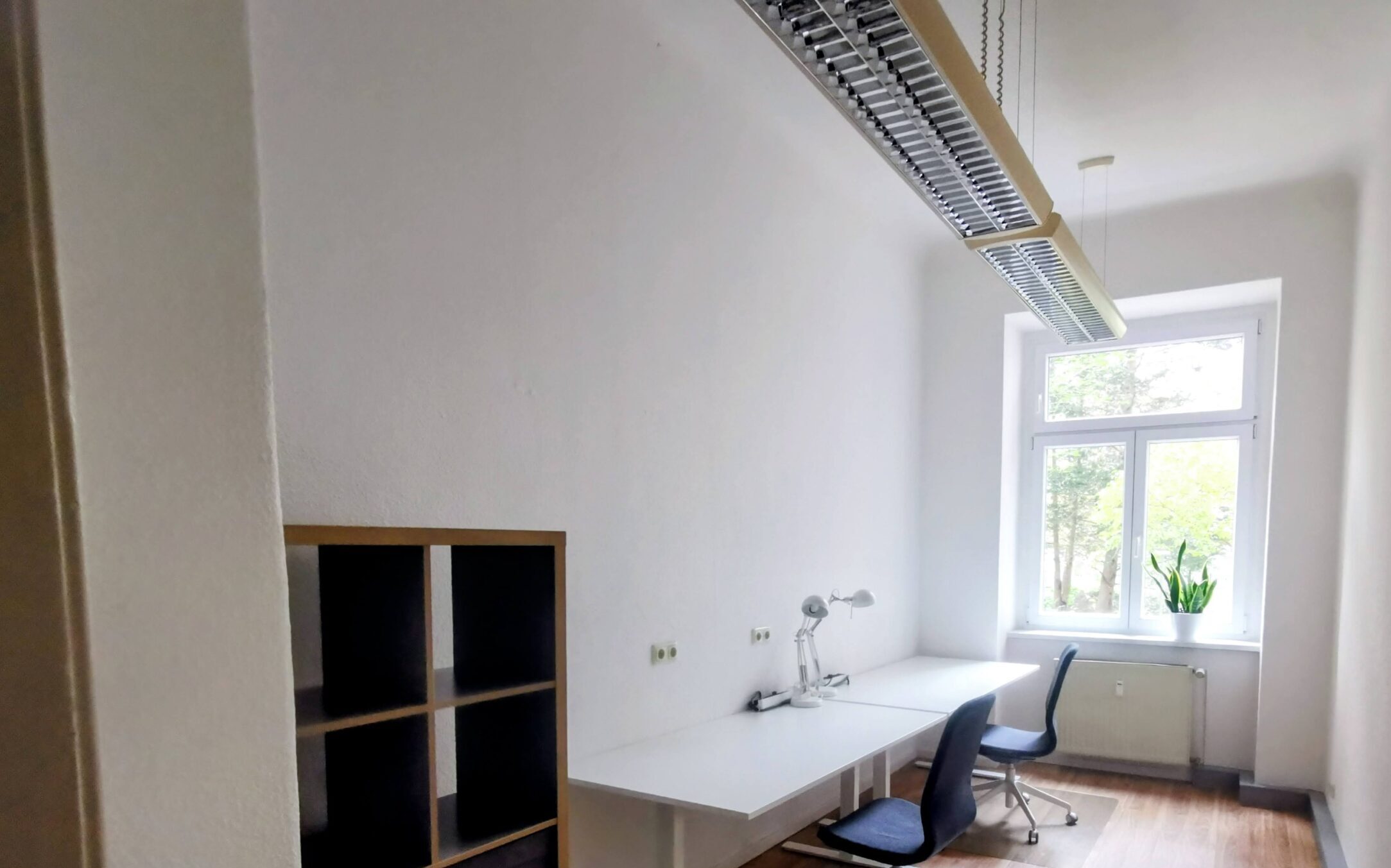 Büro mieten 01309 Dresden Johannstadt: Helles Einzel-/ 2er Büro mit Fischgrätparkett, runden Fenstern und Pflanze.