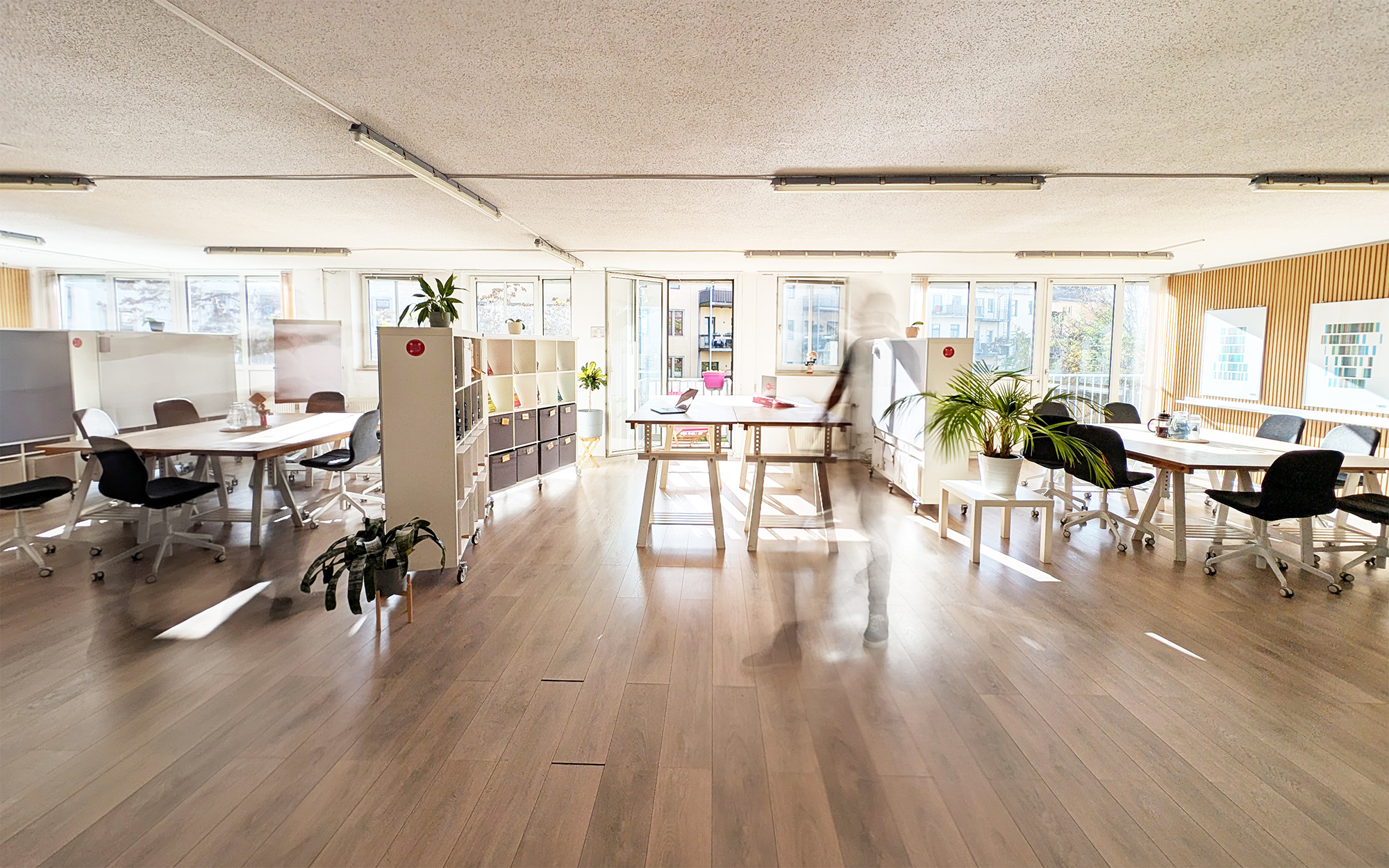 Eventraum mieten Dresden Neustadt: Großer Raum mit Tischen in Arbeitsinseln, Pflanzen und viel Licht von den Fenstern.