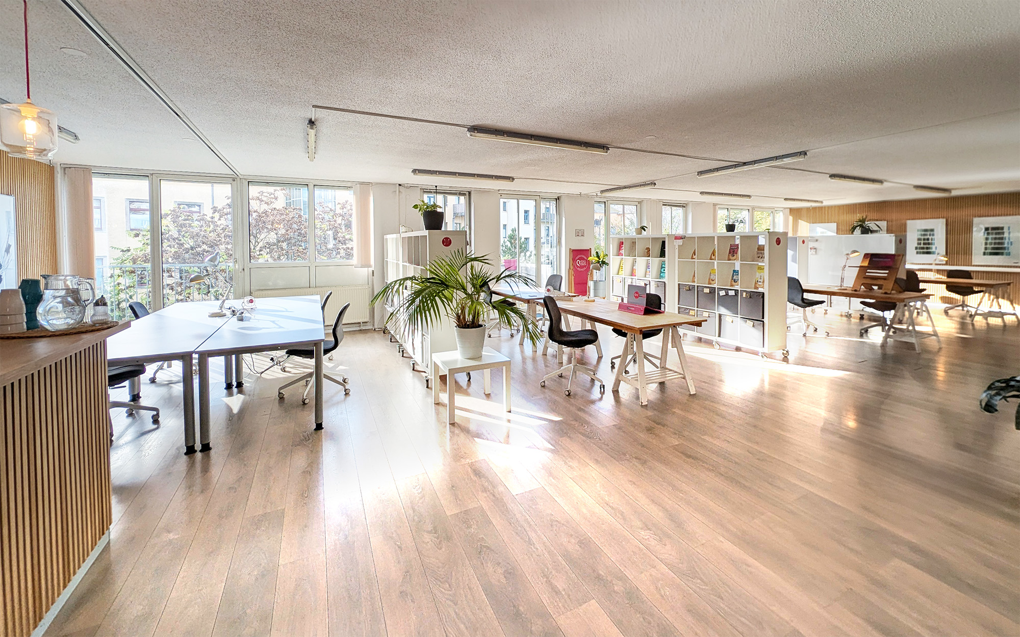 Quartier22 Coworking Space Dresden: Helle Großraumbüro-Ansicht mit Arbeitsinseln und Pflanzen.